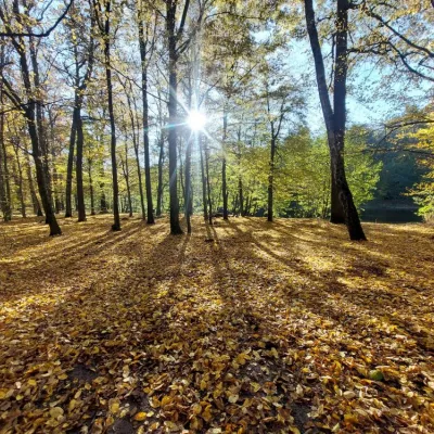 50 godzin w naturze - przyjmij wyzwanie! 