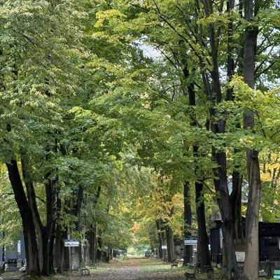 Cmentarz Żydowski przy ul. Brackiej