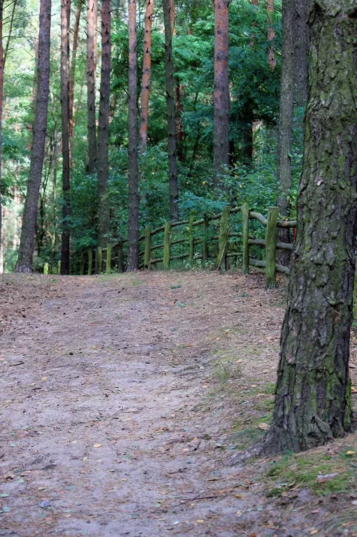 Urocza ta przyroda.