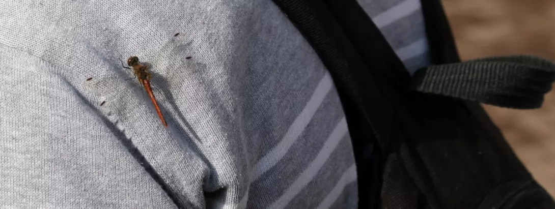 XXVII marsz na orientację "Orientuj się i licz".