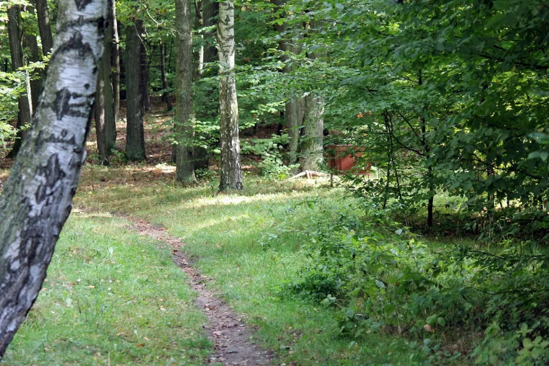 XXVII marsz na orientację "Orientuj się i licz".