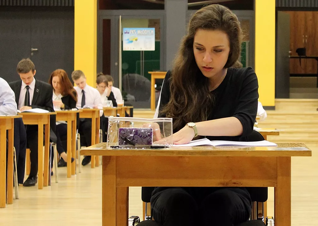 Matura 2015