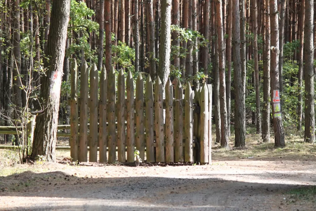 Obóz integracyjny klas pierwszych 2015