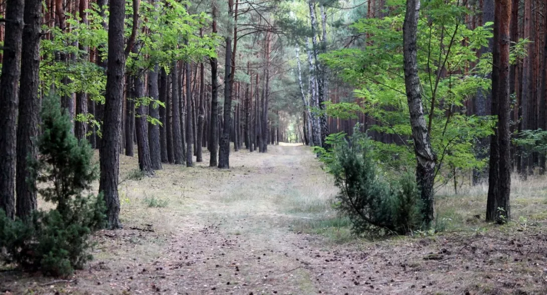 Obóz integracyjny klas pierwszych 2015