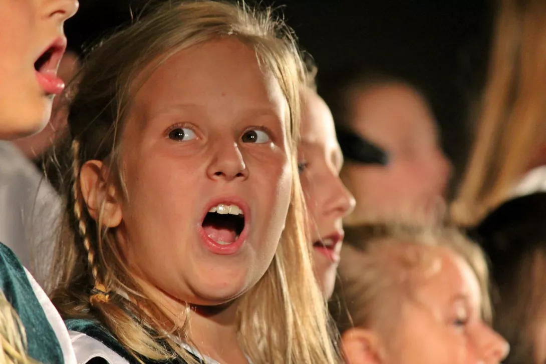 Piknik Rodzinny 2015