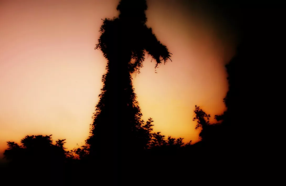 Pielgrzymka do Turynu w obiektywie Jana Najdowskiego (2015)