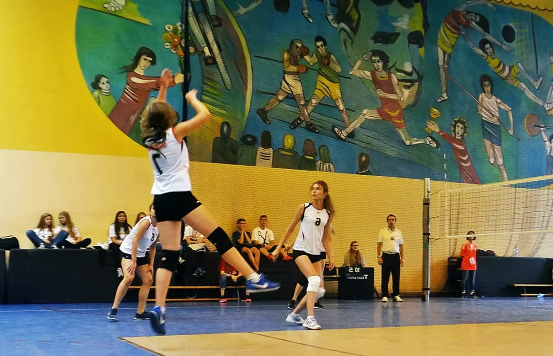 Igrzyska sportowe 2016.