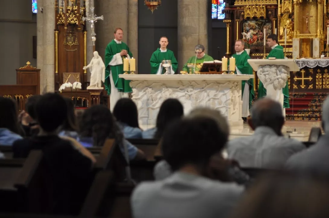 (fot.Robert Jaszczuk)