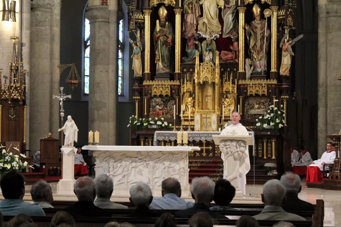 Pielgrzymka do Katedry 2019