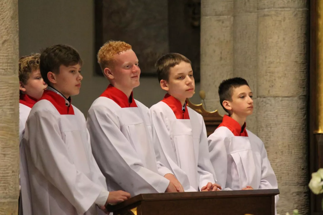 Pielgrzymka do Katedry 2019