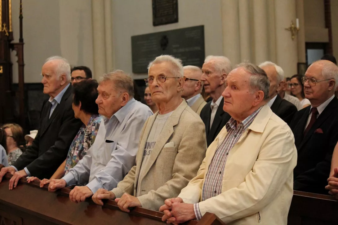 Pielgrzymka do Katedry 2019