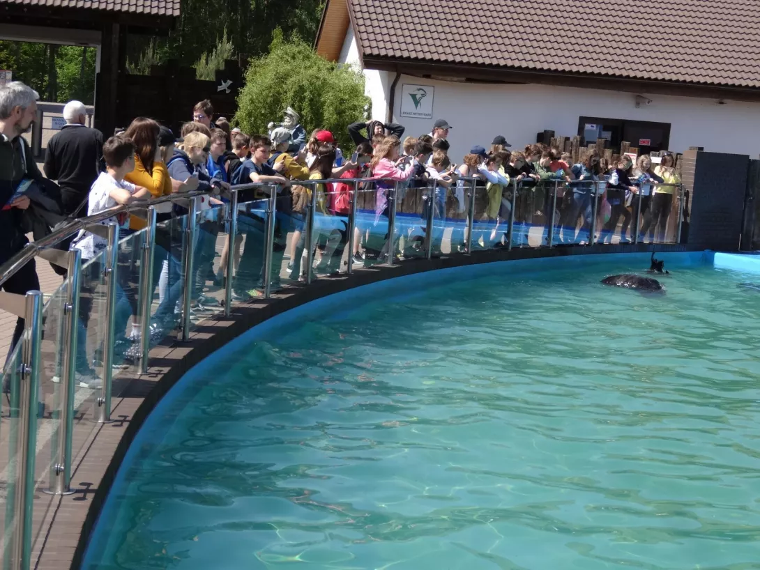 Wycieczka klas 6 SSP