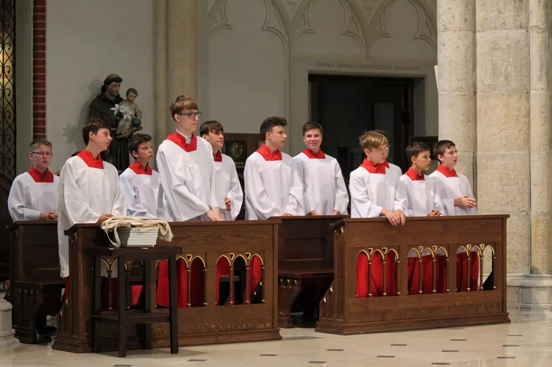 Pielgrzymka do Katedry 2019