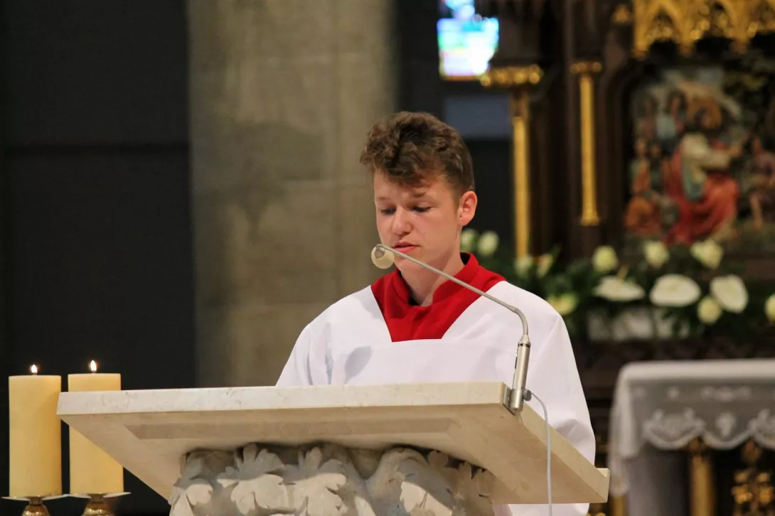 Pielgrzymka do Katedry 2019