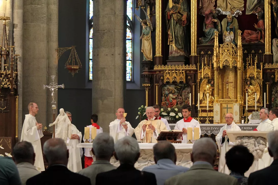 Pielgrzymka do Katedry 2019