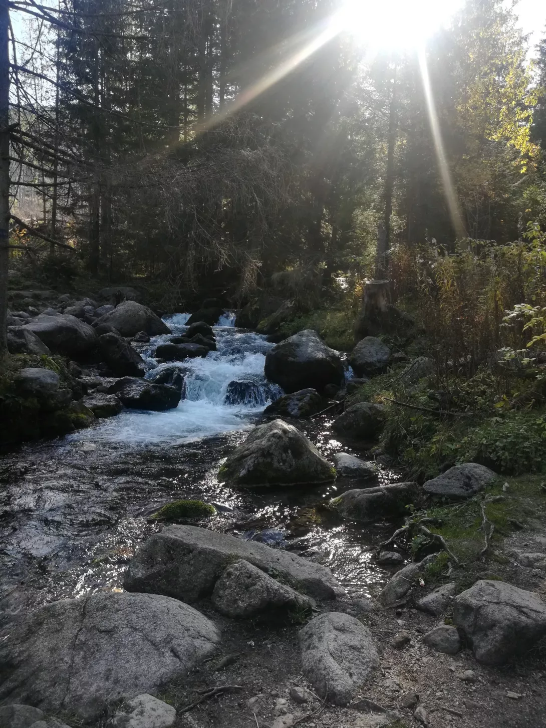 fot. Zuzanna Adamaczyk, II nagroda