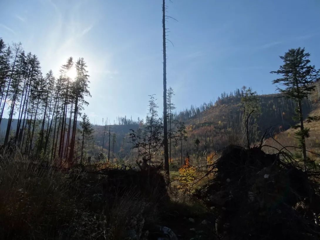 Oliwia Kurzyńska, wyróżnienie