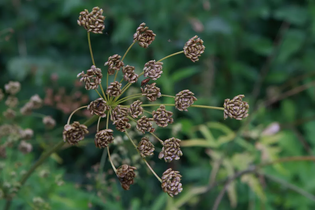 Mariola Żukowska, III nagroda
