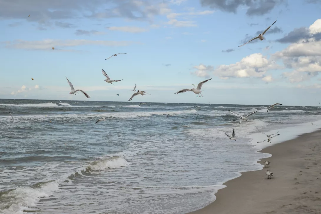 Obóz dla aktywnych Chłapowo 2021