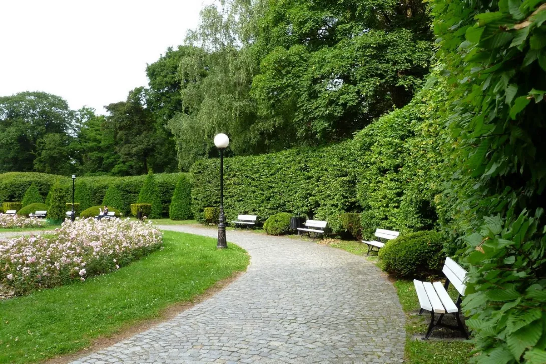 Park im. J.Matejki