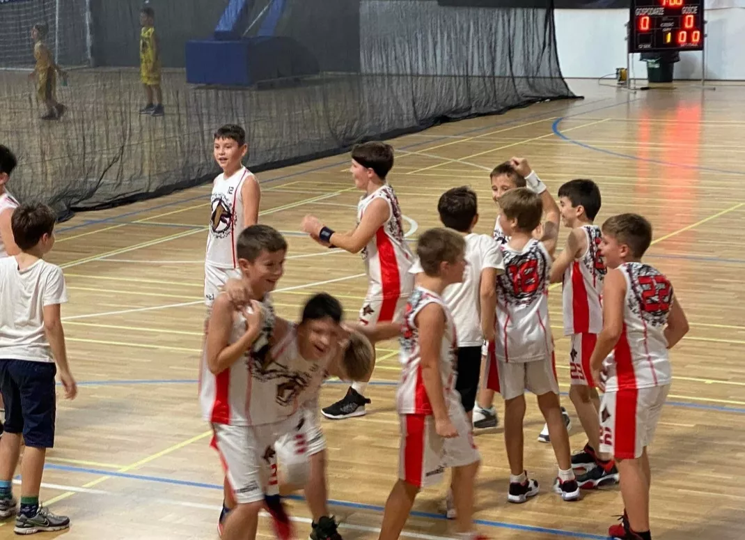 Basketball Team PIESKI Grigio