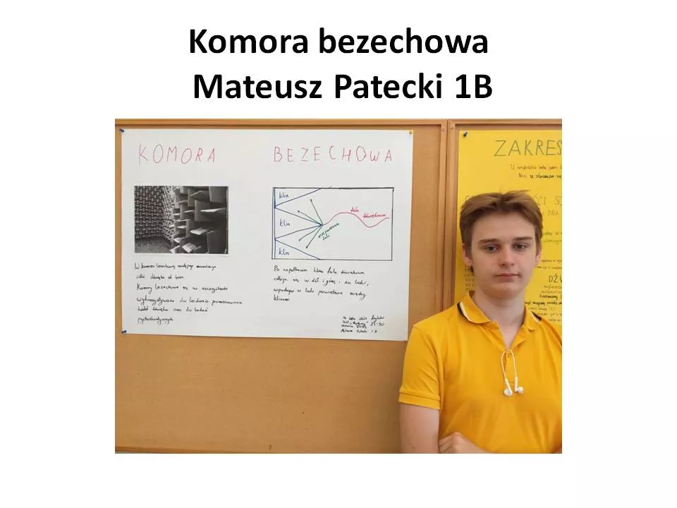 komora bezechowa