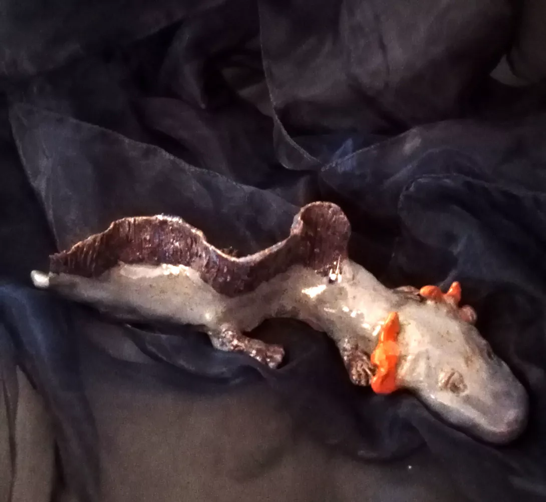 1 miejsce_EwaKaliszewska