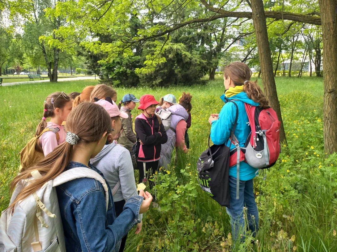 przyroda