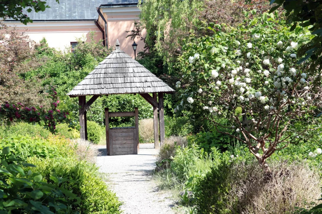 Różanystok 2023 - Festiwal Mlodzieżowy Bez Granic