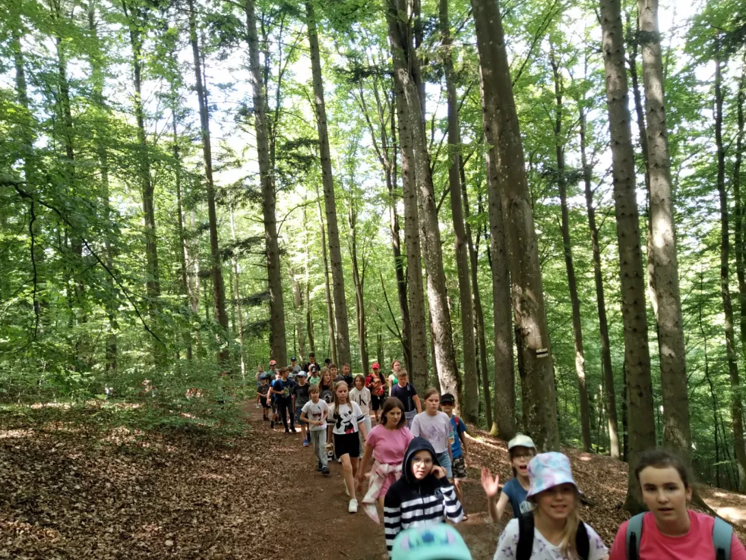 Kolonie na Kaszubach, dzień pierwszy