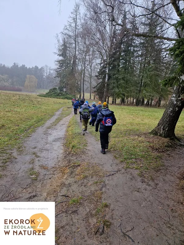 Uczniowie klasy 2D podczas wędrówki w parku