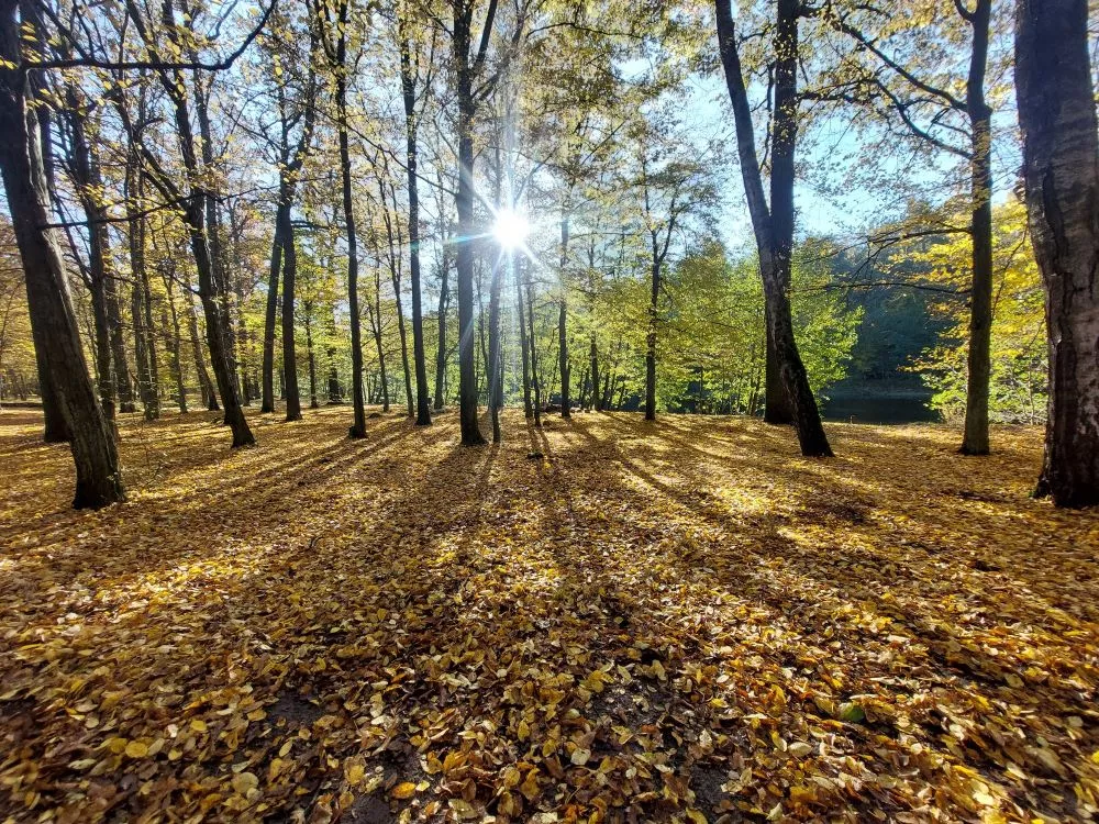 50 godzin w naturze - przyjmij wyzwanie! 