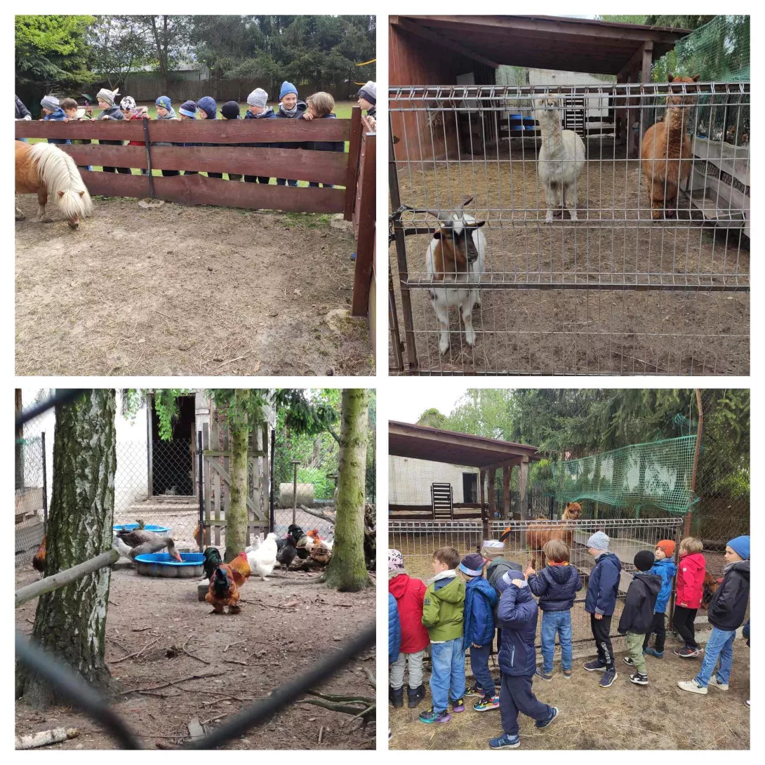 Dzieci z klasy 1b podczas wycieczki do Michałówki