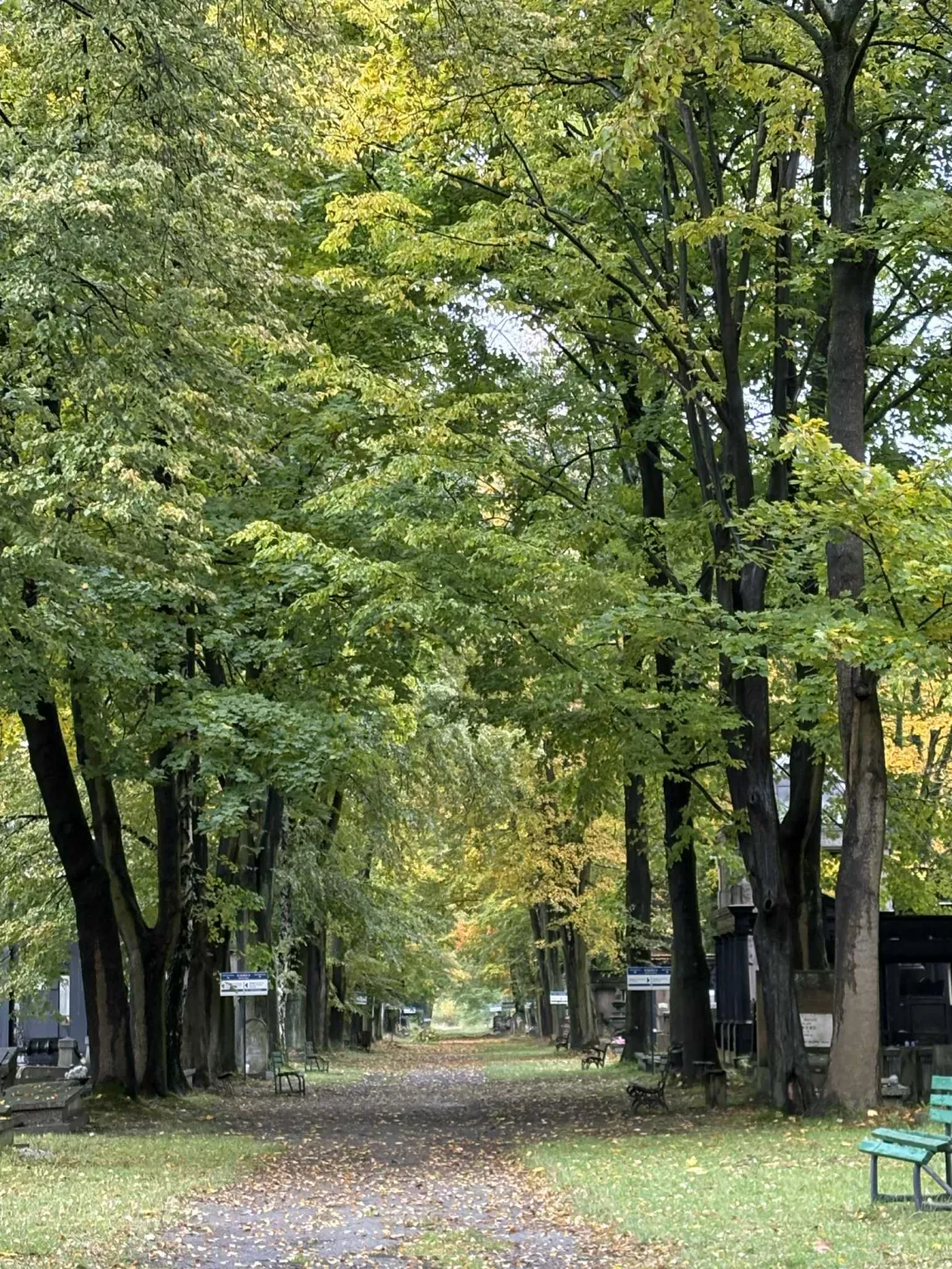 Cmentarz Żydowski przy ul. Brackiej
