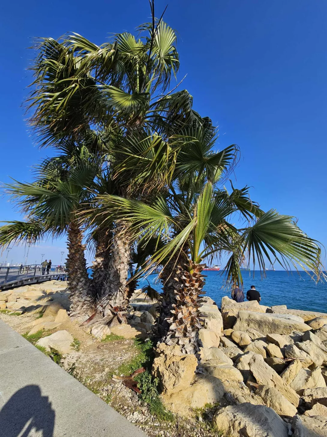 Szkolenie Erasmus+ Cypr marzec 2026