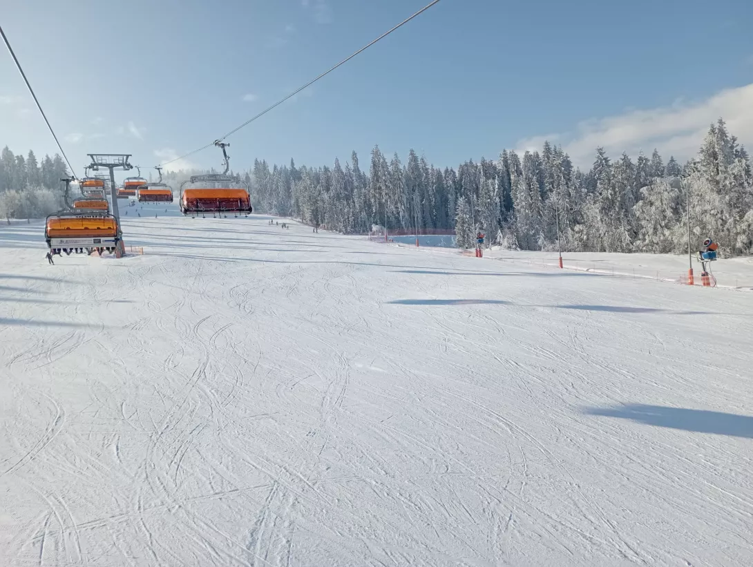 Zimowisko 2026 w Białce Tatrzańskiej, Remiaszów