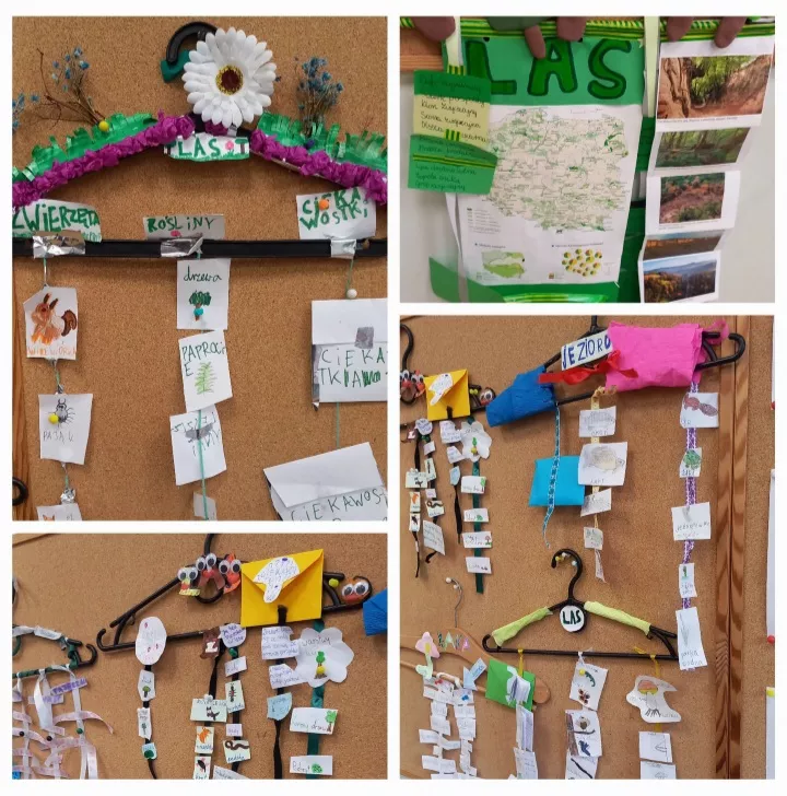 Prace uczennic klasy 3c na temat ekosystemów